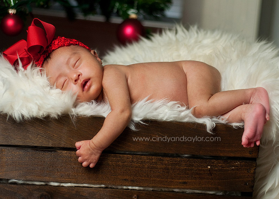 fort worth family photgraphy