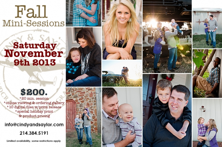 dallas, dfw, plano, frisco, allen, mckinney fall, christmas, holiday photo, mini session