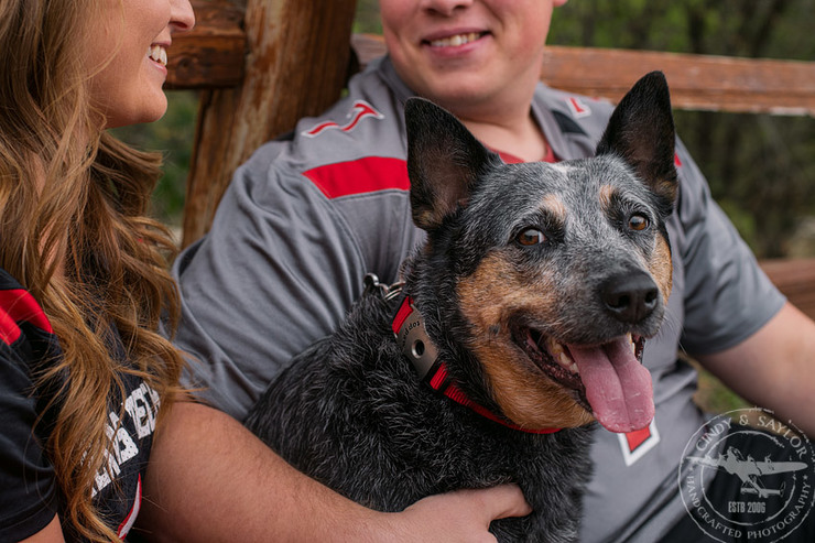 texas tech couple engagement at Arbor Hills in Plano, TX | photos by Cindy and Saylor